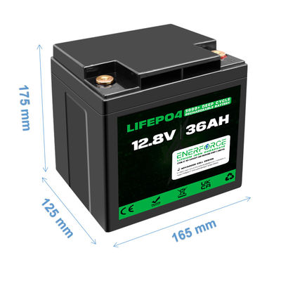 36Ah 12V LiFePO4 Batterie au lithium rechargeable pour outils électriques et jouets électriques