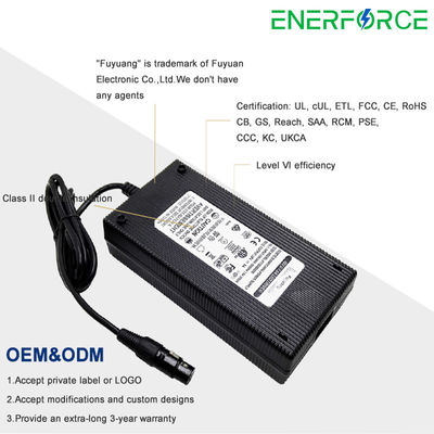 Moteur électrique scooter électrique chargeur de batterie au lithium 12V 24V 36V 48V 60V